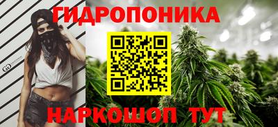 MESCALINE Гай