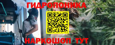 MESCALINE Гай