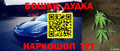 гидра Гатчина