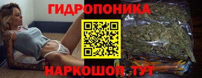 гидра Гатчина