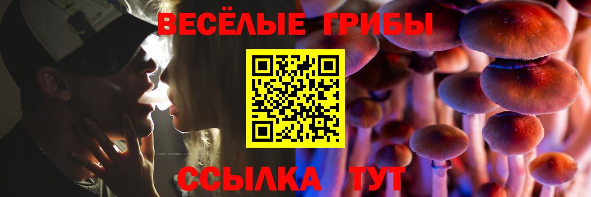 Галлюциногенные грибы ЛСД Камышлов