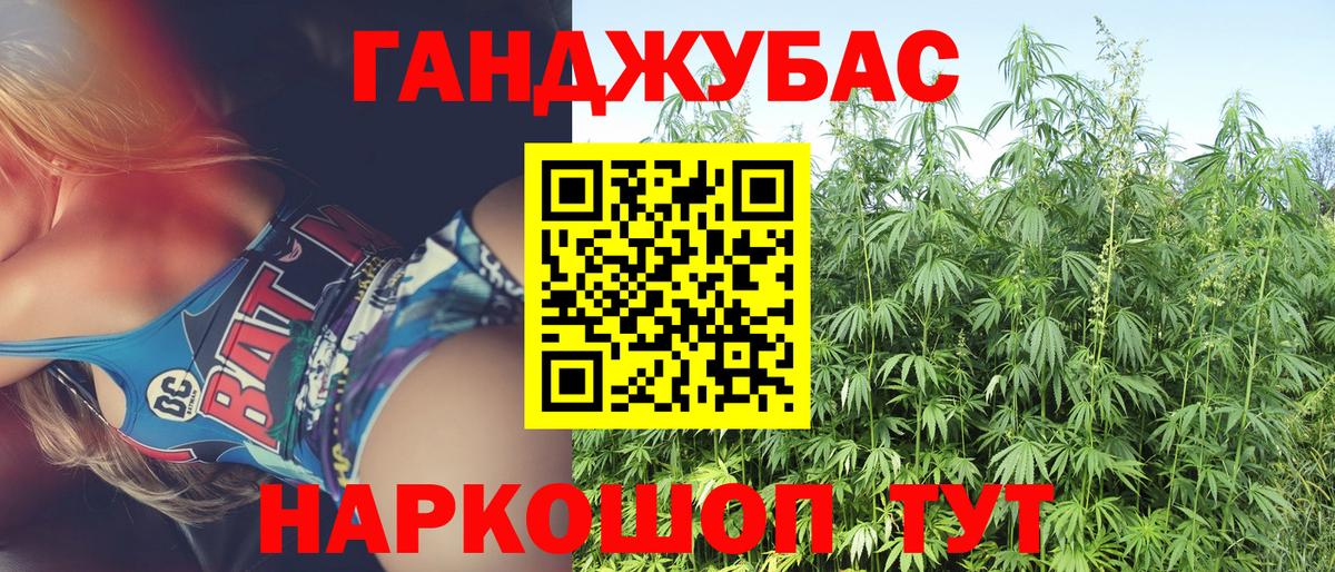 Бошки марихуана Bruce Banner  Шишки марихуана White Widow  Вход с VPN  Камышлов  Каннабис THC 21% 